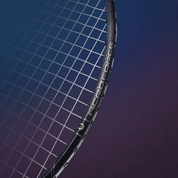 MIZUNO ACROFORCE 100H BDSS Limited Edition (Charcoal Grey/Gold) 3U/G6 Badminton Racquet – Unstrung & Free Grip - Gem Sports