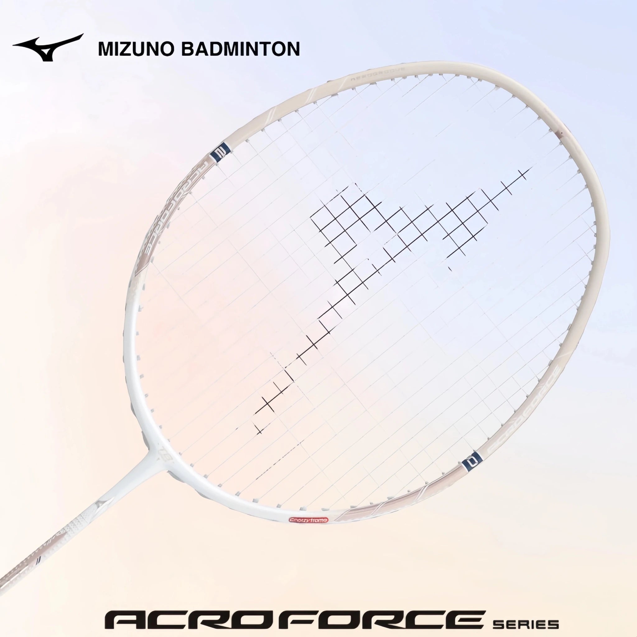 G6 Badminton Racquet – Unstrung & Free Grip - Gem Sports